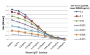 ELISA titer: the plate was coated with different amounts of mouse IgG1Î». A serial dilution of recombinant Mouse Lambda Light Chain antibody was used as the primary. An alkaline phosphatase conjugated anti-rabbit IgG as the secondary.