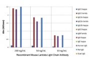 ELISA of mouse immunoglobulins shows recombinant Mouse Lambda Light Chain antibody reacts to the lambda light chain of mouse immunoglobulins. No cross reactivity with the kappa light chain, human IgG, rat IgG, or goat IgG.  The plate was coated with 50 ng/well of different immunoglobulins. 200 ng/mL, 50 ng/mL, or 10 ng/mL of RM110 was used as the primary antibody. Analkaline phosphatase conjugated anti-rabbit IgG as the secondary antibody.