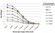 ELISA titer: the plate was coated with different amounts of mouse IgG1Îº. A serial dilution of recombinant Mouse Kappa Light Chain antibody was used as the primary and an alkaline phosphatase conjugated anti-rabbit IgG as secondary.