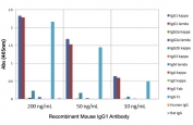 ELISA of mouse immunoglobulins shows recombinant Mouse IgG1 antibody reacts to the Fc region of mouse IgG1; slightly cross reacts to IgG2b; no cross reactivity with IgG2a, IgG3, IgM, IgA, IgE, human IgG, or rat IgG. The plate was coated with 50 ng/well of different immunoglobulins. 200 ng/mL, 50 ng/mL, or 10 ng/mL of RM106 was used as the primary and an alkaline phosphatase conjugated anti-rabbit IgG as the secondary.