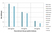 ELISA of mouse immunoglobulins shows the recombinant Mouse IgG2b antibody reacts to the Fc region of mouse IgG2b; no cross reactivity with IgG1, IgG2a, IgG3, IgM, IgA, IgE, human IgG, rat IgG, or goat IgG. The plate was coated with 50 ng/well of different immunoglobulins. 200 ng/mL, 50 ng/mL, or 10 ng/mL of RM108 was used as the primary and an alkaline phosphatase conjugated anti-rabbit IgG as the secondary.