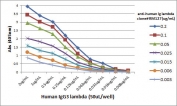ELISA Titration: the plate was coated with different amounts of human IgG3λ. A serial dilution of the recombinant Human Lambda Light Chain antibody was used as the primary and an alkaline phosphatase conjugated anti-rabbit IgG as the secondary.