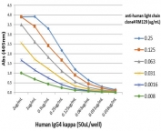 Recombinant Human Ig Light Chains antibody used to detect the kappa chaing of hIgG4.