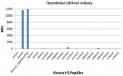 The recombinant H3K4me3 antibody specifically reacts to Histone H3 trimethylated at Lysine 4 (K4me3). No cross reactivity with other methylated lysines in Histone H3.