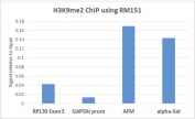 ChIP performed on HeLa cells using recombinant H3K9me2 antibody (5ug). Real-time PCR was performed using primers specific to the gene indicated.
