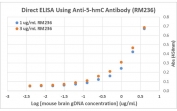 Direct ELISA of mouse brain genomic DNA using recombinant 5hmC antibody. The plate was directly coated with different concentrations of genomic DNA isolated from mouse brain tissue. 1 ug/ml or 3 ug/ml of RM236 mAb was used as the primary, and an anti-rabbit IgG HRP secondary.