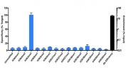 SNAP-ChIP (TM) / qPCR using anti-H3K4me3 antibody. Antibody (3 ug at 17 ug/ml) was tested in native ChIP with 3 ug HEK-293 chromatin (~1x10e6 cells). Specificity (left Y-axis; all bars mean Â± SEM from six independent ChIP experiments; note less than 15% cross-reactivity outside H3K4me3) was determined by quantitative real-time PCR (qPCR) for the duplicate DNA barcodes corresponding to each modified nucleosome in the SNAP-ChIP K-MetStat panel (X-axis). Black bar represents antibody efficiency (right Y-axis; log scale) and indicates percentage of the barcoded H3K4me3 nucleosome target immunoprecipitated relative to Input.
