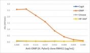 An ELISA of Helicobacter Pylori proteins using recombinant Helicobacter pylori outer membrane protein antibody. The plate was coated with 1 ug/ml of CagA, OMP (outer membrane protein), Urease, or HP-NAP of H. Pylori. A serial dilution of the RM411 mAb was used as the primary antibody. An alkaline phosphatase conjugated anti-rabbit IgG was used as the secondary antibody.