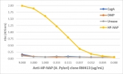 An ELISA of Helicobacter Pylori proteins using recombinant HP-NAP antibody. The plate was coated with 1 ug/ml of CagA, OMP, Urease, or HP-NAP of H. Pylori. A serial dilution of the RM413 mAb was used as the primary antibody. An alkaline phosphatase conjugated anti-rabbit IgG was used as the secondary antibody.