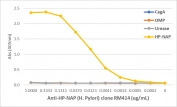 An ELISA of Helicobacter Pylori proteins using recombinant H pylori NAP antibody. The plate was coated with 1 ug/ml of CagA, OMP, Urease, or HP-NAP of H. Pylori. A serial dilution of the RM414 mAb was used as the primary antibody. An alkaline phosphatase conjugated anti-rabbit IgG was used as the secondary antibody.