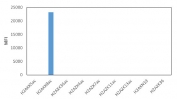 This recombinant Acetyl-Histone H2A.X antibody specifically reacts to Histone H2AX acetylated at Lysine 9 (K9ac). No limited cross reactivity with acetylated Lysine 5 (K5ac), Lysine 36 (K36ac) in Histone H2AX, Lysine 4 (K4ac), Lysine 7 (K7ac), Lysine 11 (K11ac), Lysine 13 (K13ac) in Histone H2AZ, or non-modified Asparagine 19 (N19), Lysine 36 (K36) in Histone H2AX.