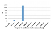 Luminex analysis of Designer Recombinant Nucleosomes (dNucs) with the recombinant Symmetric Dimethyl-Histone H4 antibody. Biotinylated dNucs with unmodified or different modified arginine pre-bind to Luminex beads coated with streptavidin. The beads were then incubated with 1.6 ng/ml of recombinant Symmetric Dimethyl-Histone H4 antibody, follow by PE-conjugated goat anti-rabbit IgG secondary antibody.