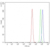 Flow cytometry testing of fixed and permeabilized human MCF7 cells with SSH3BP1 antibody at 1ug/million cells (blocked with goat sera); Red=cells alone, Green=isotype control, Blue= SSH3BP1 antibody.