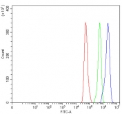 Flow cytometry testing of fixed and permeabilized human HeLa cells with AQP1 antibody at 1ug/10^6 cells (blocked with goat sera); Red=cells alone, Green=isotype control, Blue=AQP1 antibody.