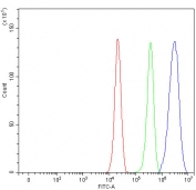 Flow cytometry testing of fixed and permeabilized human A549 cells with STAT1 antibody at 1ug/million cells (blocked with goat sera); Red=cells alone, Green=isotype control, Blue= STAT1 antibody.