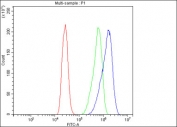 Flow cytometry testing of fixed and permeabilized human Caco-2 cells with Cytochrome C antibody at 1ug/million cells (blocked with goat sera); Red=cells alone, Green=isotype control, Blue= Cytochrome C antibody.