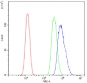 Flow cytometry testing of human U-87 MG cells with Cyclin D1 antibody at 1ug/10^6 cells (blocked with goat sera); Red=cells alone, Green=isotype control, Blue= Cyclin D1 antibody.