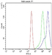 Flow cytometry testing of fixed and permeabilized human Raji cells with IKKa antibody at 1ug/million cells (blocked with goat sera); Red=cells alone, Green=isotype control, Blue= IKKa antibody.
