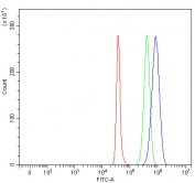 Flow cytometry testing of fixed human SH-SY5Y cells with TNR antibody at 1ug/million cells (blocked with goat sera); Red=cells alone, Green=isotype control, Blue= TNR antibody.