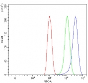 Flow cytometry testing of fixed and permeabilized human PC-3 cells with SDHA antibody at 1ug/million cells (blocked with goat sera); Red=cells alone, Green=isotype control, Blue= SDHA antibody.