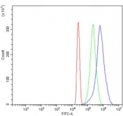 Flow cytometry testing of human HL60 cells with MCM7 antibody at 1ug/million cells (blocked with goat sera); Red=cells alone, Green=isotype control, Blue= MCM7 antibody.