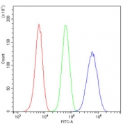 Flow cytometry testing of human U-2 OS cells with 14-3-3 sigma antibody at 1ug/million cells (blocked with goat sera); Red=cells alone, Green=isotype control, Blue= 14-3-3 sigma antibody.