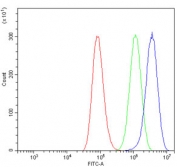 Flow cytometry testing of human A549 cells with Paxillin antibody at 1ug/million cells (blocked with goat sera); Red=cells alone, Green=isotype control, Blue= Paxillin antibody.