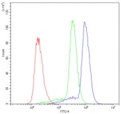 Flow cytometry testing of human U937 cells with ASIC3 antibody at 1ug/10^6 cells (blocked with goat sera); Red=cells alone, Green=isotype control, Blue= ASIC3 antibody.