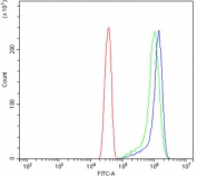 Flow cytometry testing of human HeLa cells with VCP antibody at 1ug/million cells (blocked with goat sera); Red=cells alone, Green=isotype control, Blue= VCP antibody.
