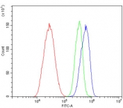 Flow cytometry testing of human HepG2 cells with MERTK antibody at 1ug/million cells (blocked with goat sera); Red=cells alone, Green=isotype control, Blue= MERTK antibody.