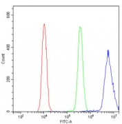 Flow cytometry testing of human U-2 OS cells with Cofilin antibody at 1ug/million cells (blocked with goat sera); Red=cells alone, Green=isotype control, Blue= Cofilin antibody.