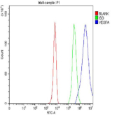 Flow cytometry testing of fixed human K562 cells with VEGF antibody at 1ug/million cells (blocked with goat sera); Red=cells alone, Green=isotype control, Blue= VEGF antibody.