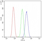 Flow cytometry testing of human U-2 OS cells with Galectin 3 antibody at 1ug/10^6 cells (blocked with goat sera); Red=cells alone, Green=isotype control, Blue= Galectin 3 antibody.
