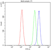 Flow cytometry testing of fixed and permeabilized human A431 cells with p63 antibody at 1ug/million cells (blocked with goat sera); Red=cells alone, Green=isotype control, Blue= p63 antibody.