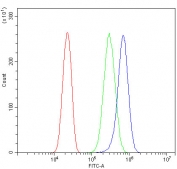 Flow cytometry testing of fixed and permeabilized human PC-3 cells with DHFR antibody at 1ug/million cells (blocked with goat sera); Red=cells alone, Green=isotype control, Blue= DHFR antibody.