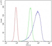 Flow cytometry testing of human SiHa cells with Glucocorticoid receptor antibody at 1ug/million cells (blocked with goat sera); Red=cells alone, Green=isotype control, Blue= Glucocorticoid receptor antibody.