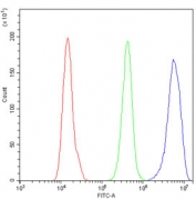 Flow cytometry testing of human A431 cells with MCM7 antibody at 1ug/million cells (blocked with goat sera); Red=cells alone, Green=isotype control, Blue= MCM7 antibody.