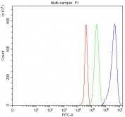 Flow cytometry testing of fixed and permeabilized human Jurkat cells with MIF antibody at 1ug/million cells (blocked with goat sera); Red=cells alone, Green=isotype control, Blue= MIF antibody.
