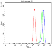 Flow cytometry testing of fixed and permeabilized human Caco-2 cells with PIN1 antibody at 1ug/million cells (blocked with goat sera); Red=cells alone, Green=isotype control, Blue= PIN1 antibody.