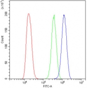 Flow cytometry testing of human A431 cells with ERAB antibody at 1ug/million cells (blocked with goat sera); Red=cells alone, Green=isotype control, Blue= ERAB antibody.