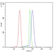 Flow cytometry testing of human U937 cells with NMI antibody at 1ug/million cells (blocked with goat sera); Red=cells alone, Green=isotype control, Blue= NMI antibody.