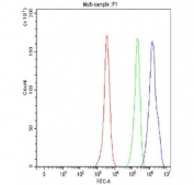 Flow cytometry testing of fixed and permeabilized human HeLa cells with CLOCK antibody at 1ug/million cells (blocked with goat sera); Red=cells alone, Green=isotype control, Blue= CLOCK antibody.