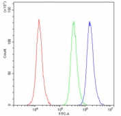 Flow cytometry testing of human A431 cells with AMPK beta 2 antibody at 1ug/10^6 cells (blocked with goat sera); Red=cells alone, Green=isotype control, Blue= AMPK beta 2 antibody.