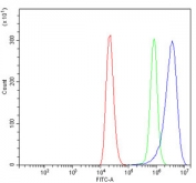 Flow cytometry testing of human ThP-1 cells with BAG2 antibody at 1ug/million cells (blocked with goat sera); Red=cells alone, Green=isotype control, Blue= BAG2 antibody.