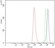Flow cytometry testing of human HEL cells with Carbonic Anhydrase I antibody at 1ug/million cells (blocked with goat sera); Red=cells alone, Green=isotype control, Blue= Carbonic Anhydrase I antibody.