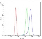 Flow cytometry testing of fixed human K562 cells with HSC70 antibody at 1ug/million cells (blocked with goat sera); Red=cells alone, Green=isotype control, Blue= HSC70 antibody.