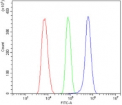 Flow cytometry testing of human ThP-1 cells with GRP94 antibody at 1ug/million cells (blocked with goat sera); Red=cells alone, Green=isotype control, Blue= GRP94 antibody.