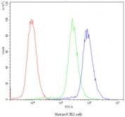 Flow cytometry testing of human K562 cells with POR antibody at 1ug/10^6 cells (blocked with goat sera); Red=cells alone, Green=isotype control, Blue=POR antibody.