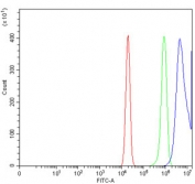 Flow cytometry testing of human U-2 OS cells with Cyclin A2 antibody at 1ug/million cells (blocked with goat sera); Red=cells alone, Green=isotype control, Blue= Cyclin A2 antibody.
