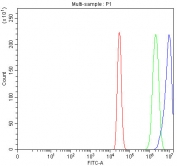 Flow cytometry testing of fixed and permeabilized human A431 cells with LMNB1 antibody at 1ug/million cells (blocked with goat sera); Red=cells alone, Green=isotype control, Blue= LMNB1 antibody.